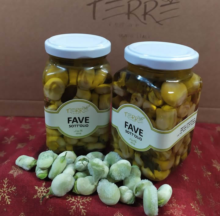 Fave sott'olio orientali